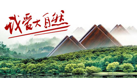 2017-2018年中國(guó)十大實(shí)木地板品牌排行榜