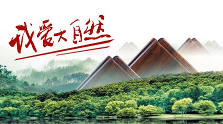 竹地板哪個(gè)牌子好?推薦中國十大竹地板品牌