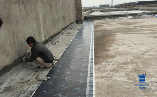 品牌人物|青龍建材區域經理：除了人脈，做防水還需要哪些？