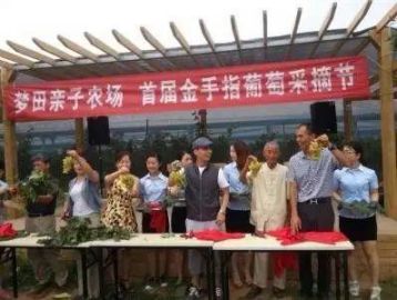 讓休閑農(nóng)業(yè)莊園頭疼的營(yíng)銷(xiāo)策劃：你需要一個(gè)動(dòng)聽(tīng)的好故事