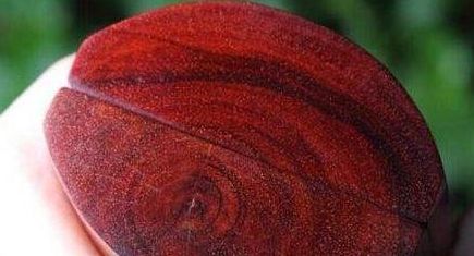 紅木家具中的小葉紫檀大葉紫檀，一字之差，二者有何不同？