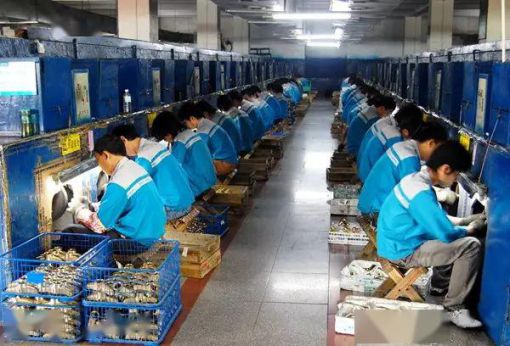 品牌招商|輝煌廚衛7大優勢，帶你快速掘金!