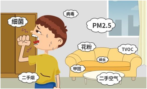 豐葉板材再創新高峰，榮獲“中國十大品牌”稱號