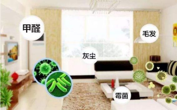 德國精工·諾森柏格是一個(gè)專注、專業(yè)的家用空氣凈化器品牌