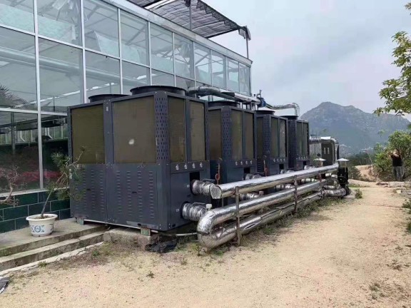 岳西大觀園12000㎡花卉大棚采用格美粵空氣源熱泵，三年無故障運(yùn)行