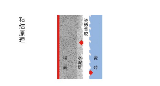 瓷磚背膠粘與不粘，不能作為產(chǎn)品好壞及產(chǎn)品質(zhì)量的依據(jù)