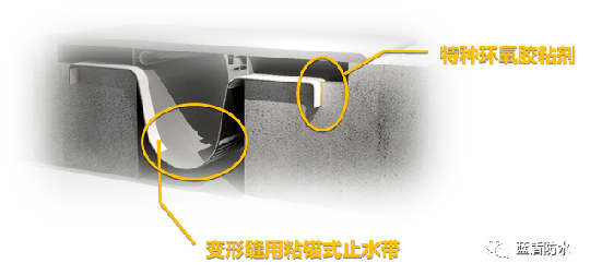 藍盾防水推出【云考察】欄目，帶大家用全新視覺看藍盾